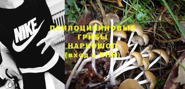 гидропоника Бородино