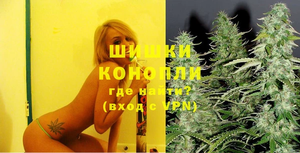 МДПВ Бронницы
