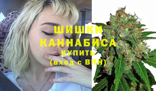 МДПВ Бронницы